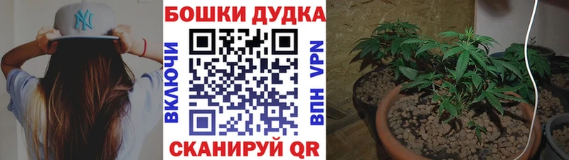 Конопля план Октябрьск